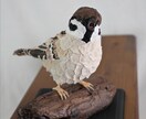 手縫いと木彫りで、理想の鳥をオーダー制作します 飼い鳥、インコさん、野鳥など独自のぬいぐるみを制作します イメージ1