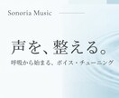 初回限定＊呼吸と発声から声を整えます 数千人の声分析経験から、お悩みに合わせて自然な声に導きます イメージ1