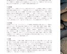 インド占星術で10年先までの運気を予測します 基礎鑑定＋ご相談つき（3件）19Pの鑑定書もご用意 イメージ5