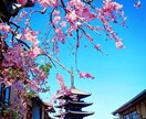 京都の四季の写真を提供します 京都の癒される四季折々の写真を！ イメージ1