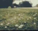 お相手の性格•攻略法について占います 意中の相手の事をより深く知る事で未来は変えれます。 イメージ1