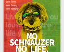 犬の写真をレゲエ（ラスタ）調にコラージュします （サングラスやコスプレ写真を活用するのもオススメ） イメージ5