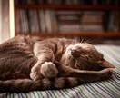 死を考えると眠れない…私も同じ経験あります 小さい頃から自分が死んで消えてしまうことが怖い、そんな方に イメージ1