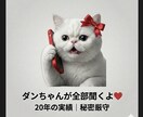 愚痴でも悩みでものろけでも何でも受け止めます ダンちゃん、ちょっと聞いて〜◯気軽に友達感覚でお電話ください イメージ1