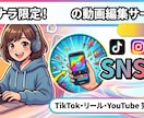 簡単な動画編集します 簡単な基本的なスキルで編集やります イメージ1