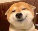人間関係全ての悩みお聞きします 皆さんの心にちょっとした癒しをお届け イメージ1
