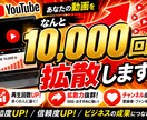 Youtube動画をなんと10,000回拡散します 1日5000回で２日間で10000回の拡散再生を行います イメージ1