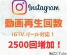 インスタの動画再生回数が増えるよう宣伝します リール・IGTV対応！Instagram2500再生 イメージ1