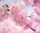 24時間以内にタロットと霊視で鑑定いたします 今すぐに答えが欲しい、そんなあなたに イメージ2