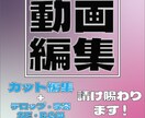 各種映像の編集行います Youtube動画含む様々な映像の様々な編集作業代行 イメージ1
