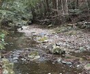 別宮⭐︎滝原宮への代理参拝致します 伊勢の神々から、今、あなたに必要なメッセージ【言霊】を！ イメージ2