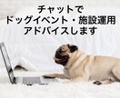 チャットでドッグイベント・施設運用アドバイスします 年間、最大330日ドッグイベントを実施してきた実績があります イメージ1