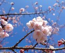 もやもやの原因を解明し、今やるべき事をお伝えします 過去や現状から、選ぶべき道を示します イメージ1
