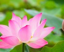 寄り添い相談鑑定 どんな悩みも魂の声をお聴きします 誰にも言えない想いがある ただ、わかってほしいだけなのに… イメージ6