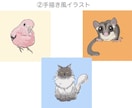 ペットのアイコン、イラスト描きます 犬･猫はもちろんエキゾチックアニマルも受付中です！ イメージ5