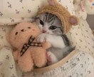 お話したいことあったら何でも聞きます 誰にも言えない悩みごと他人になら相談できるはず！ イメージ1