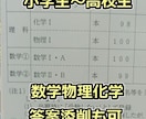 大学受験 数学・物理/中学受験、中高生の解説します 東大理系卒が丁寧に回答します、短納期もご相談ください イメージ1