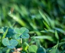 4回目以降のリピ様★紹介制度も導入♪相談に乗ります 生まれつき授かった霊感で霊視します。貴方を幸せに導きます。 イメージ2