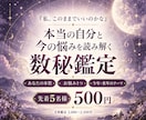 数秘であなたの本質と今の悩みを読み解きます 先着5名様500円｜悩み1つを個別鑑定＋今年・来年のテーマ イメージ1