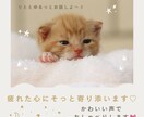 あなた専用の癒し通話お届けします ほっとひと息。雑談・悩みなんでもどうぞ♪（1分〜OK） イメージ1