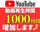 YouTube再生時間を1000時間増加させます 今だけ！評価10件達成まで特別価格で販売中！ イメージ1