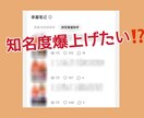 レッドの投稿を翻訳します (法人／個人)翻訳＋PR戦略まで一貫対応 イメージ2