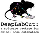 DeepLabCutでの行動解析の代行をします 動画内の動物の行動をトラッキングし、座標を出力します。 イメージ1