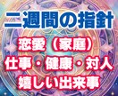 定期購入推奨！あなたの二週間を細かく占います 恋愛（家庭）・仕事・健康・対人・嬉しい出来事！是非ご参考に！ イメージ1