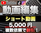 TikTokなどのショート動画編集承ります 高クオリティの動画を納品！様々なジャンルに対応します。 イメージ1