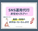 プロフェッショナルのSNS運用代行をします 集客・採用のお手伝いをいたします。 イメージ1