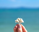 企業HP・ビジネス用写真を撮影します アマチュアですので関西圏中心に安く承ります！ イメージ2