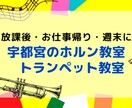 ホルン個人レッスン！高音・バテ対策 丁寧に教えます 高い音が出ないとお悩みの方へ、正しい努力の仕方を伝授します イメージ5