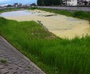 撮影します 素材写真を撮影して提供します。 イメージ3