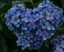 保育者や保育学生、子育て中の方の悩みを聞きます 子どもって本当に素晴らしい、面白い！ イメージ1