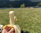 食事+ゆるい運動で無理なく痩せる習慣サポートします 無理な制限なし|食事+ゆるい運動で自然に痩せる習慣づくり イメージ1