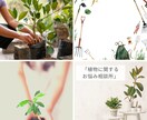 植物に関するお困りごと解消に向けてサポートします 無農薬無肥料100種類以上の栽培経験20年分の知恵をお福わけ イメージ1