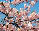 目的に合わせたプロフィール写真を撮影します SNSやマッチングアプリなど目的に合わせ写真を撮影！ イメージ4