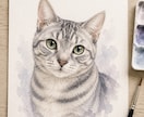 大切なペットの似顔絵をやさしいタッチで描きます 毛並みも表情も丁寧に。印刷してそのまま飾れます イメージ4