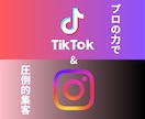 現役プロがInstagramTikTok運用します Instagram,TikTokの運用をいたします！ イメージ1