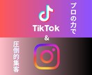 現役プロがInstagramTikTok運用します Instagram,TikTokの運用をいたします！ イメージ1