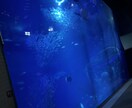 新米ママの心のモヤモヤを共感します 頑張るママの心の叫びを聞かせてください イメージ1
