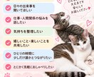 愚痴・悩み・雑談リアルタイムチャットでお聞きします ～誰かに聞いてほしい気持ちチャットで受け止めます～ イメージ4