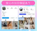 Instagram日本人フォロワー増加します ストーリーズ更新あるフォロワー◎大口割引◎スピード調整◎ イメージ5