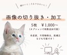 細かいところまできれいに！画像加工します 切り抜き、背景、色変更など、素早く対応します！ イメージ1