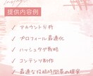 あなた専用【TikTok成長ガイドブック】作ります プロの分析で、あなたのTikTokを次のレベルへ イメージ3