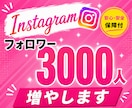 Instagramフォロワー3000人増やします 高品質フォロワーを格安で提供！振り分け可能^ ^ イメージ1