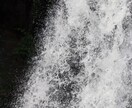 自然の写真を提供します 素晴らしい写真を提供できるように最善を尽くします イメージ3