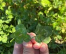 誰かとちょこっと話したいとき、5分でもお話聞きます どんな方でも大歓迎です楽しく話あなたのサンドバッグになります イメージ1