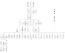 行政書士が戸籍調査をし、家系図を作成します あなたのルーツをたどってみませんか？ イメージ4