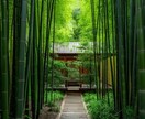 あなたの未来、才能と進むべき道を明かします 人間関係、適職、出世、独立の悩みをなくして自分らしく働く イメージ7